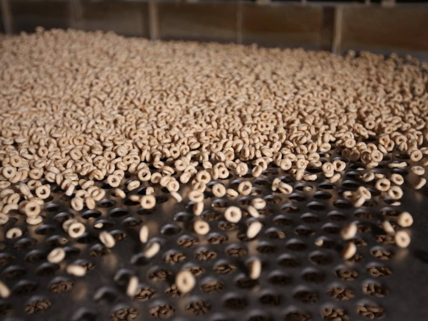 Cheerios on production line
